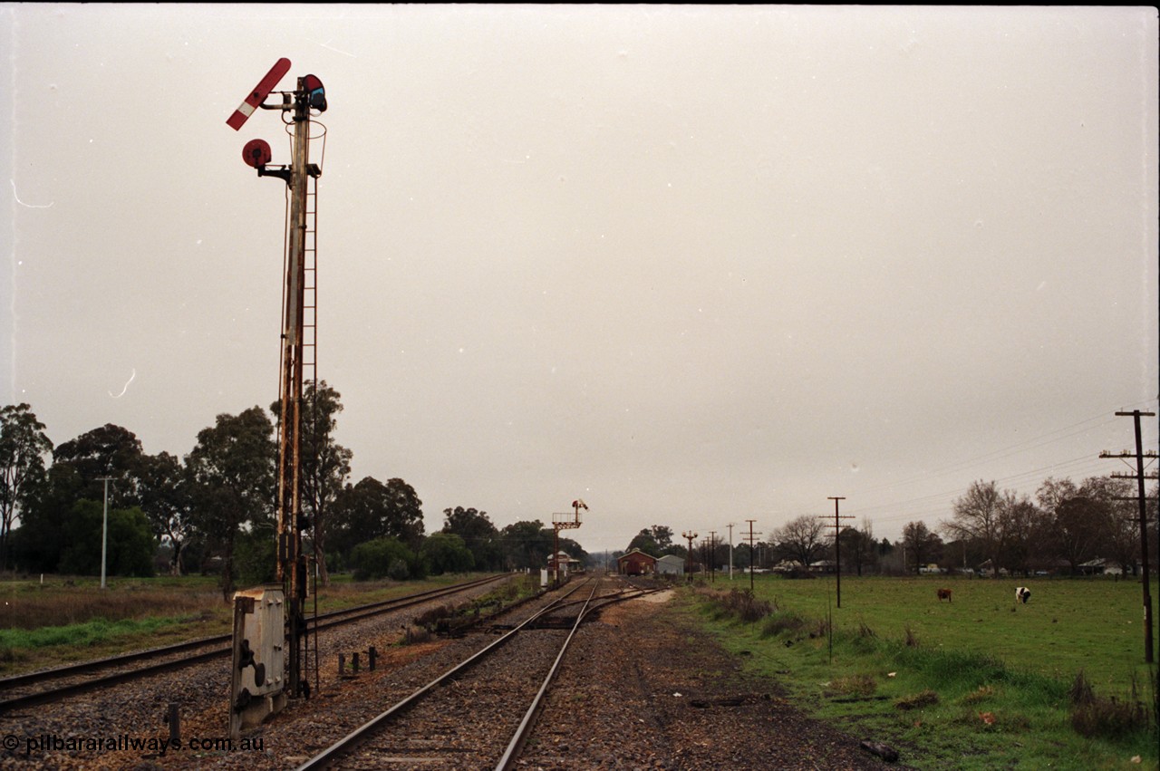 142-2-08
Barnawartha station building and yard overview looking south from the north end, standard gauge line at left, semaphore signal posts 11 and 10 pulled off indicating the signal box is switched out, station building, good shed and super phosphate shed visible in the distance.
