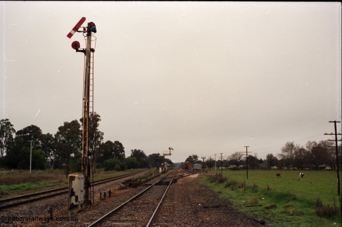 142-2-08
Barnawartha station building and yard overview looking south from the north end, standard gauge line at left, semaphore signal posts 11 and 10 pulled off indicating the signal box is switched out, station building, good shed and super phosphate shed visible in the distance.
