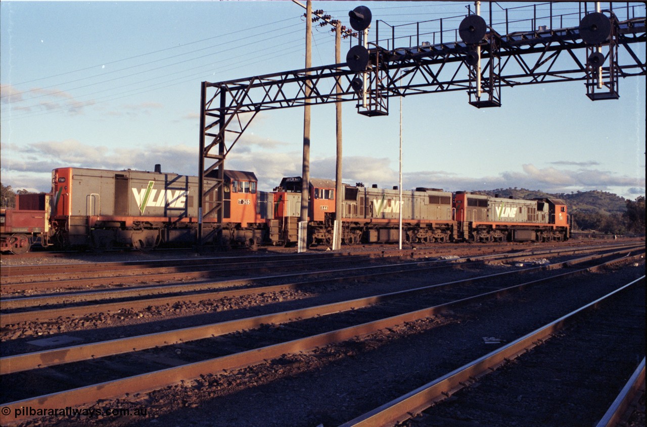 142-3-17
Albury south yard, V/Line broad gauge locos X classes, X 50 Clyde Engineering EMD model G26C serial 75-797 and X 44 serial 70-707 and T class T 369 Clyde Engineering EMD model G8B serial 64-324 are on the point of up Albury steel train 9334, awaiting departure time, trailing view.
Keywords: T-class;T369;Clyde-Engineering-Granville-NSW;EMD;G8B;64-324;