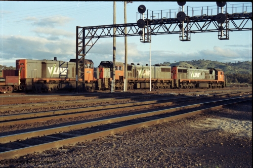 142-3-16
Albury south yard, V/Line broad gauge locos X classes, X 50 Clyde Engineering EMD model G26C serial 75-797 and X 44 serial 70-707 and T class T 369 Clyde Engineering EMD model G8B serial 64-324 are on the point of up Albury steel train 9334, awaiting departure time, trailing view.
Keywords: T-class;T369;Clyde-Engineering-Granville-NSW;EMD;G8B;64-324;