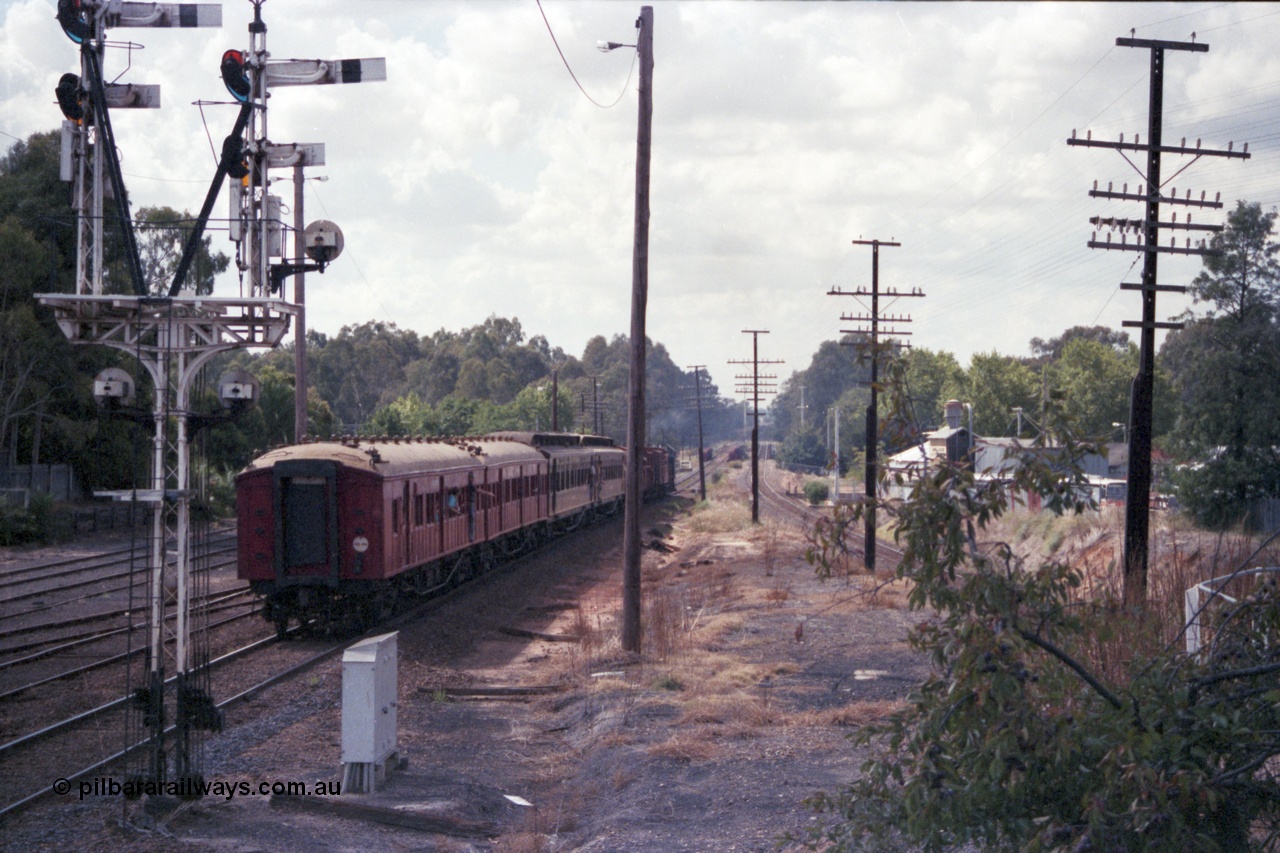 143-11
Wangaratta, down Wahgunyah Special 'Stringybark Express' mixed train rolls away towards Springhurst with semaphore signal Post 23 in the foreground, the standard gauge line is on the right, the last two carriages are BCPL class bogie passenger carriages.
