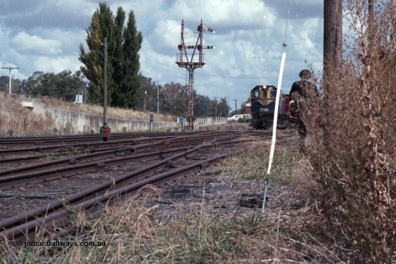 143-14
Springhurst yard view, broad gauge VR liveried Y class Y 133 Clyde Engineering EMD model G6B serial 65-399 leads the down Wahgunyah mixed 'Stringybark Express' Special as it departs No. 2 Rd for the Wahgunyah line, the track closest to the camera is Siding A, the Wahgunyah line and then No. 2 and No. 1 Rd.
