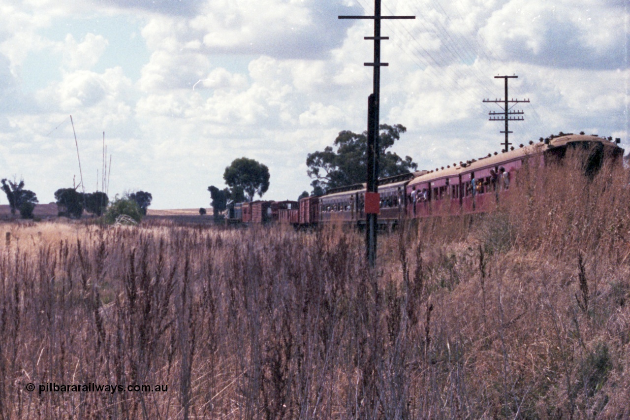 143-17
Springhurst, broad gauge VR liveried Y class Y 133 Clyde Engineering EMD model G6B serial 65-399 leads the down Wahgunyah mixed 'Stringybark Express' special away from Springhurst as it runs around the curve bound for Lilliput.
Keywords: Y-class;Y133;Clyde-Engineering-Granville-NSW;EMD;G6B;65-399;