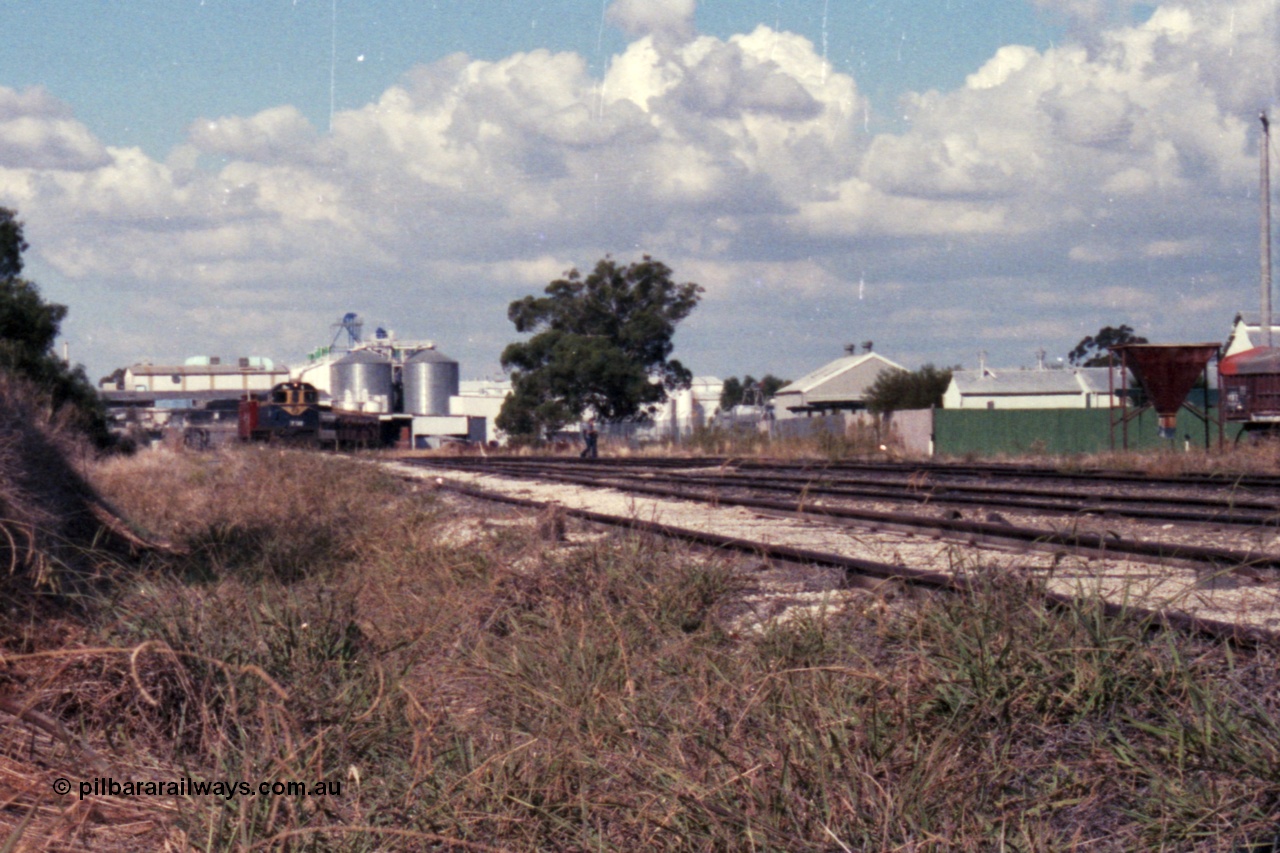 143-24
Wahgunyah, broad gauge VR liveried Y class Y 133 Clyde Engineering EMD model G6B serial 65-399 leads the arriving 'Stringybark Express' mixed special into the yard, Uncle Tobys in the background.
Keywords: Y-class;Y133;Clyde-Engineering-Granville-NSW;EMD;G6B;65-399;