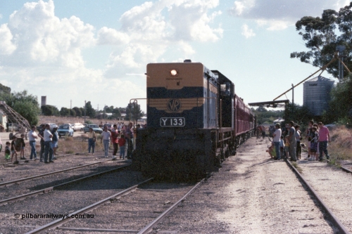 143-29
Wahgunyah, broad gauge VR liveried Y class Y 133 Clyde Engineering EMD model G6B serial 65-399 sits on the point of the up 'Stringybark Express' mixed special as it awaits departure time. The silo structure on the right stands on the former station building platform.
Keywords: Y-class;Y133;Clyde-Engineering-Granville-NSW;EMD;G6B;65-399;