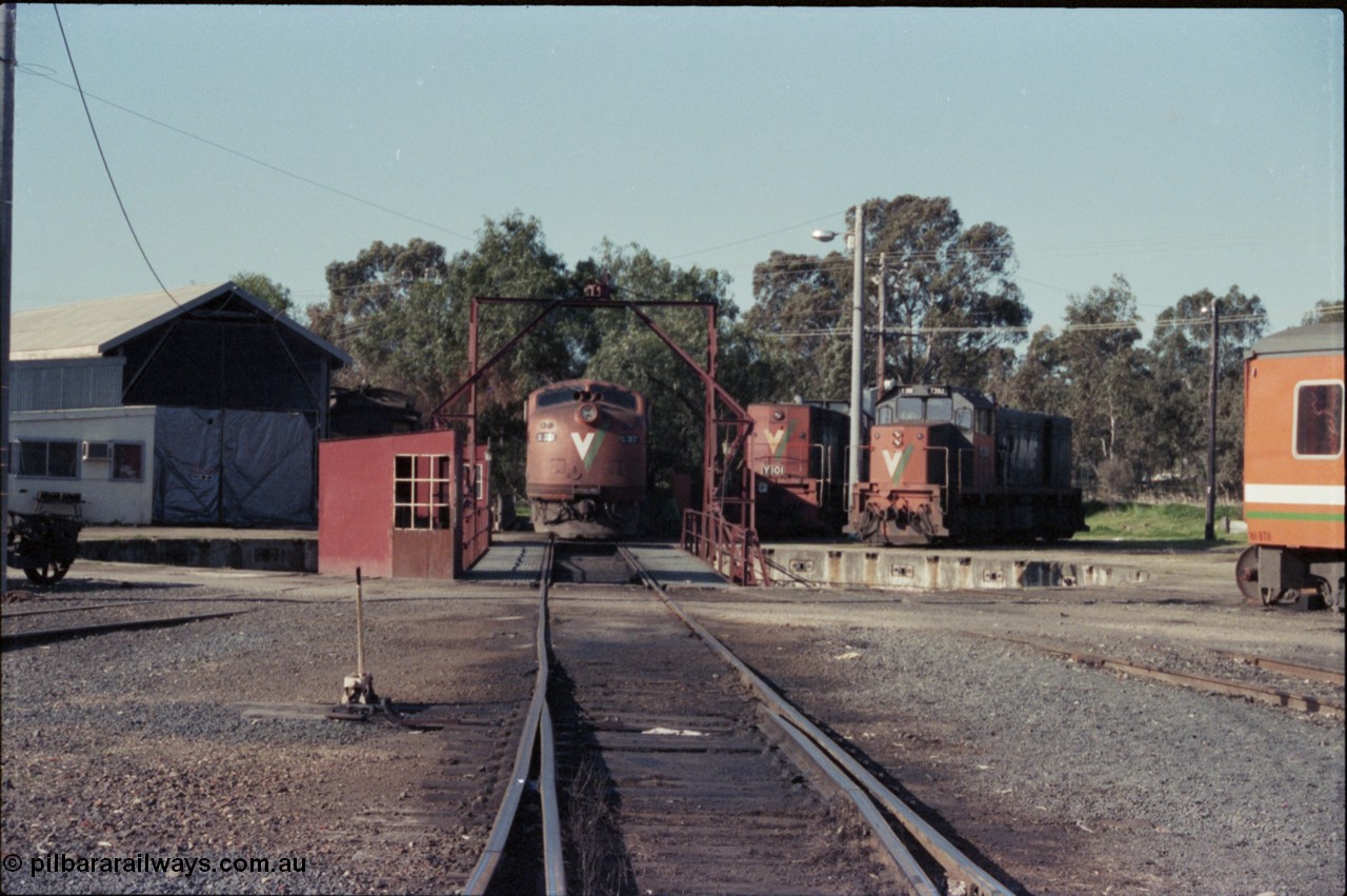 147-07
Seymour loco depot turntable, looking down broad gauge road at V/Line S class S 317 'Sir John Monash' Clyde Engineering EMD model A7 serial 61-240, standard gauge Y class leader Y 101 Clyde Engineering EMD model G6B serial 63-291 and broad gauge T class T 392 a Clyde EMD model G8B serial 65-422.
Keywords: S-class;S317;Clyde-Engineering-Granville-NSW;EMD;A7;61-240;bulldog;