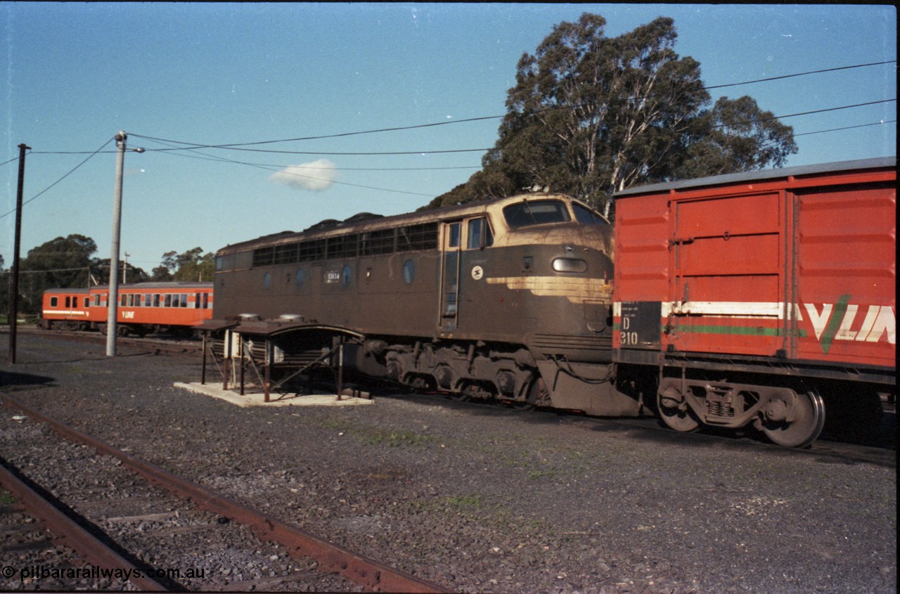 147-17
Seymour loco depot turntable roads, broad gauge Victorian Railways liveried S class S 303 'C J Latrobe' Clyde Engineering EMD model A7 serial 57-167 and V/Line D type louvre van D 310, a couple of dynamic brake grid assemblies are next to S 303.
Keywords: S-class;S303;Clyde-Engineering-Granville-NSW;EMD;A7;57-167;bulldog;