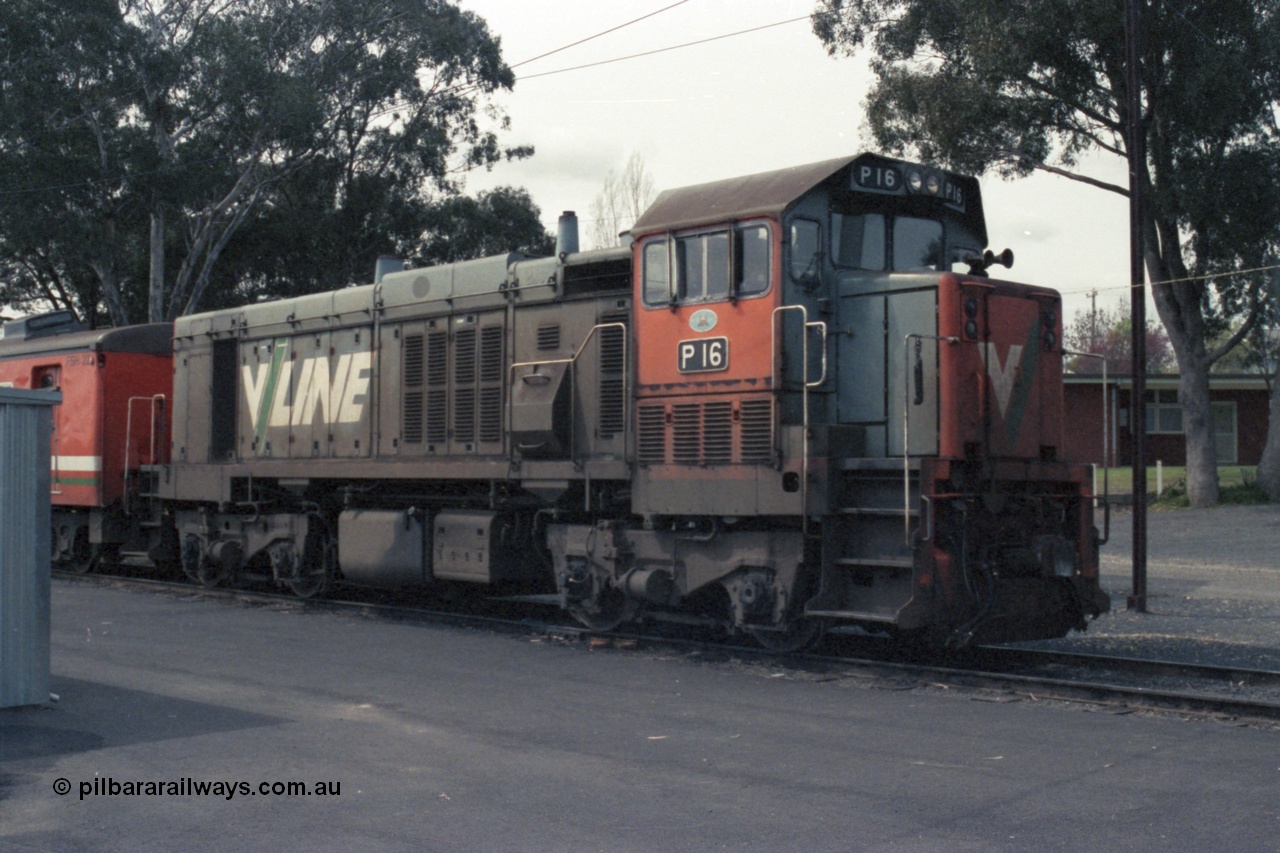 147-31
Seymour loco depot, broad gauge V/Line P class P 16 Clyde Engineering EMD model G18HBR serial 84-1210 rebuilt from T 332 Clyde Engineering EMD model G8B serial 56-99, seen here with a stabled H set FSH 22.
Keywords: P-class;P16;Clyde-Engineering-Somerton-Victoria;EMD;G18HBR;84-1210;rebuild;