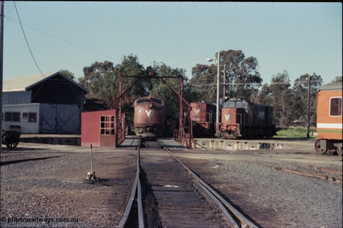 147-07
Seymour loco depot turntable, looking down broad gauge road at V/Line S class S 317 'Sir John Monash' Clyde Engineering EMD model A7 serial 61-240, standard gauge Y class leader Y 101 Clyde Engineering EMD model G6B serial 63-291 and broad gauge T class T 392 a Clyde EMD model G8B serial 65-422.
Keywords: S-class;S317;Clyde-Engineering-Granville-NSW;EMD;A7;61-240;bulldog;