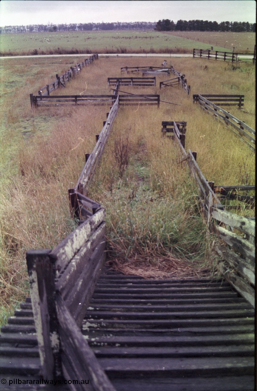 150-24
Lismore, view of the sheep yarding from the top of the loading race, bottom race chute is on the right of frame.
