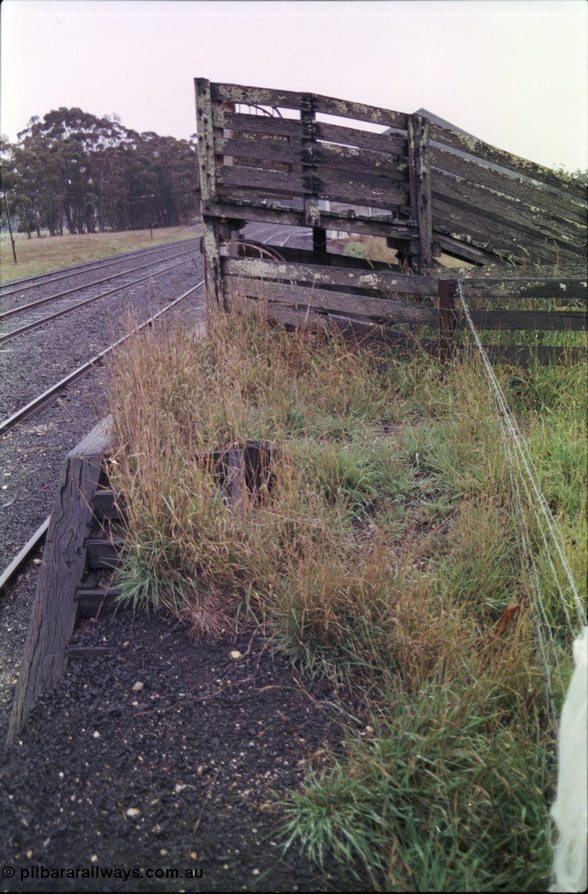 150-25
Lismore, sheep loading race and platform, tow tier loading race, shows the lower chute into the race.
