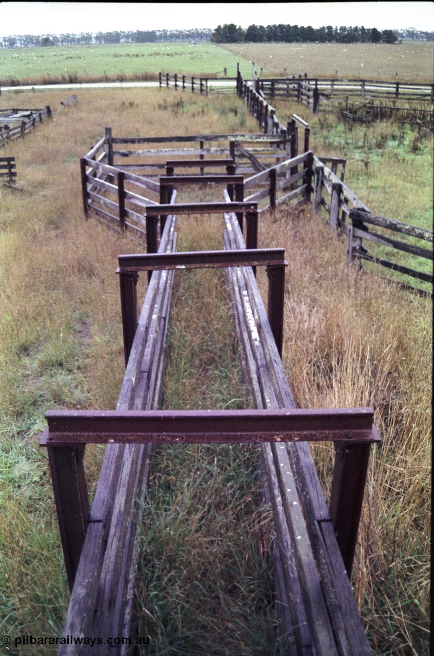 150-26
Lismore, view of cattle yarding and chute ramp onto loading race.
