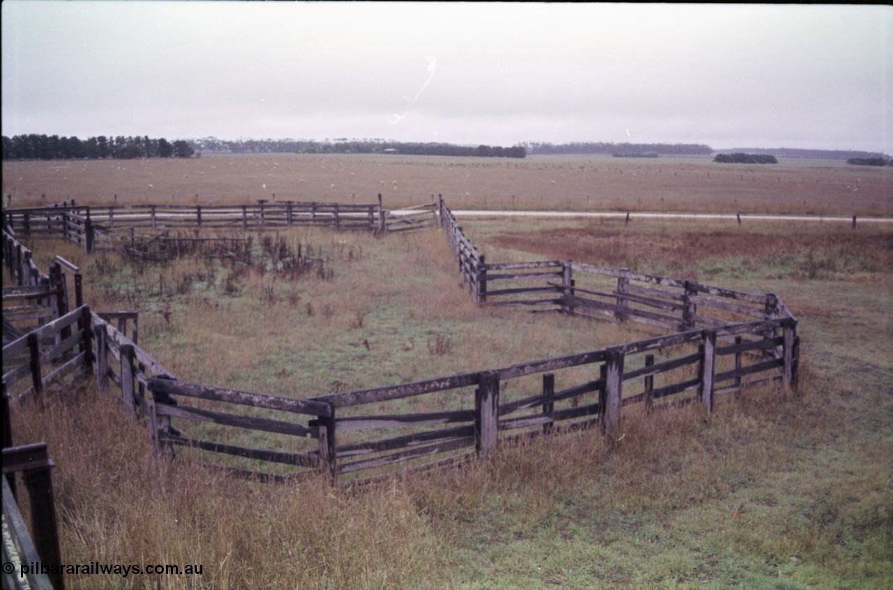 150-27
Lismore, view of cattle holding yard from loading race.
