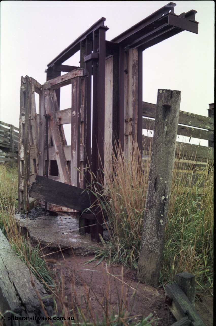 150-28
Lismore, cattle loading ramp showing race side gates and sliding cut off gate.
