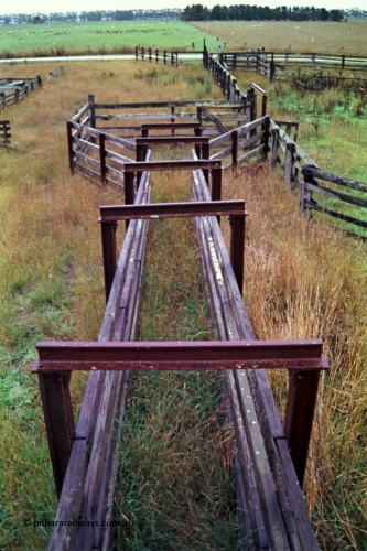 150-26
Lismore, view of cattle yarding and chute ramp onto loading race.
