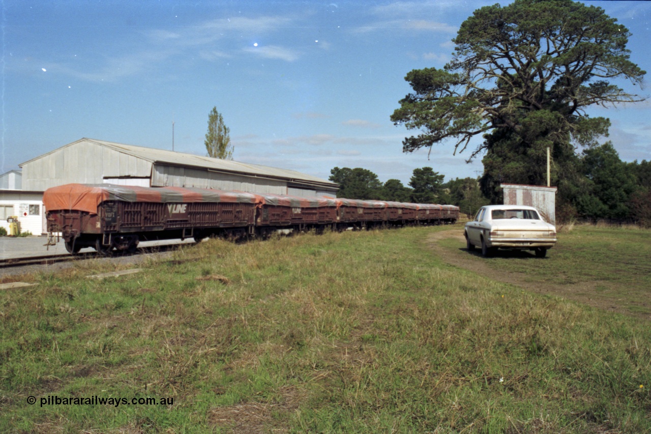 153-3-32
Coldstream, overview of station, six VOFX type bogie open super phosphate waggons, HK Holden and station shed.
