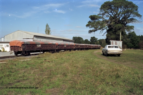 153-3-32
Coldstream, overview of station, six VOFX type bogie open super phosphate waggons, HK Holden and station shed.
