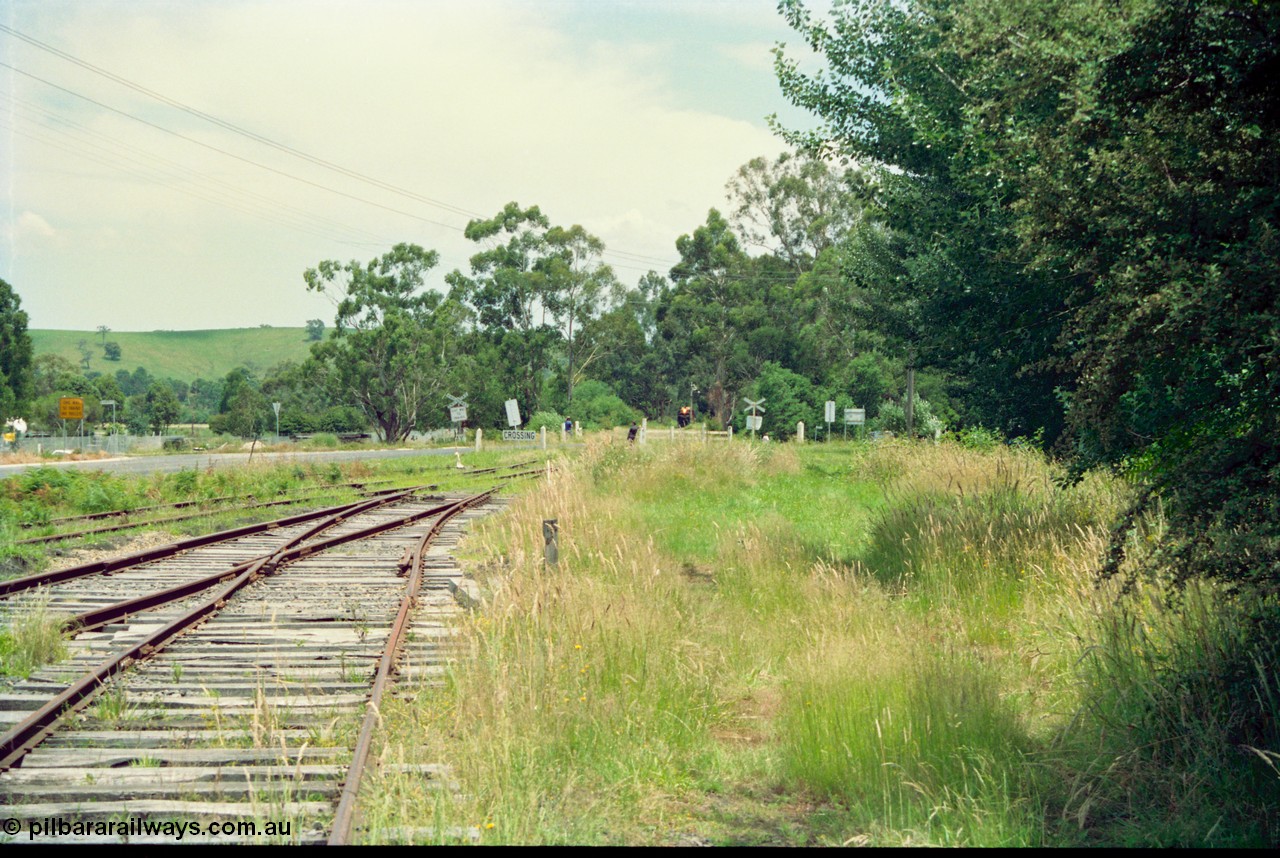 158-01
Healesville, Yarra Valley Tourist Railway operations, overgrown yard view looking towards Yarra Glen, train on approach.
