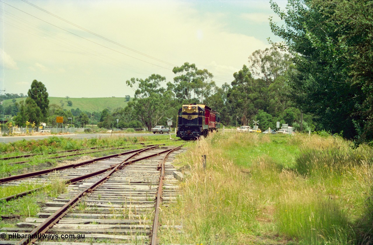 158-03
Healesville, Yarra Valley Tourist Railway operations, overgrown yard view looking towards Yarra Glen, train on grade crossing entering yard behind former Victorian Railways T class T 341 Clyde Engineering EMD model G8B serial 56-120 still in Victorian Railways livery.
Keywords: T-class;T341;Clyde-Engineering-Granville-NSW;EMD;G8B;56-120;