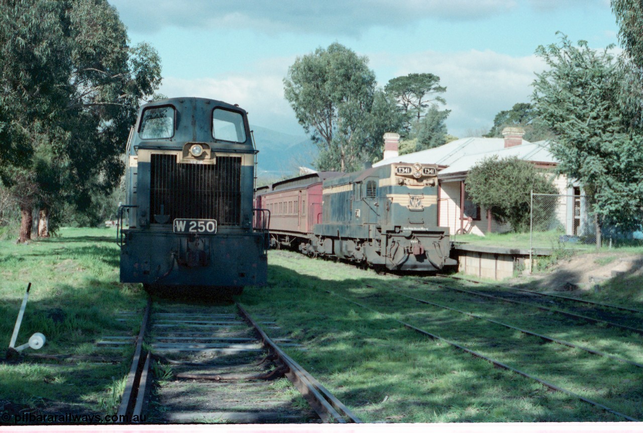 160-02
Healesville station overview, Yarra Valley Tourist Railway broad gauge locos and rolling stock, former Victorian Railways W class W 250 Tulloch Ltd model 1-MS 0-6-0 diesel hydraulic serial 15 and T class T 341 Clyde Engineering EMD model G8B serial 56-120 both still in Victorian Railways livery.
Keywords: W-class;W250;Tulloch-Ltd-NSW;1-MS;15;