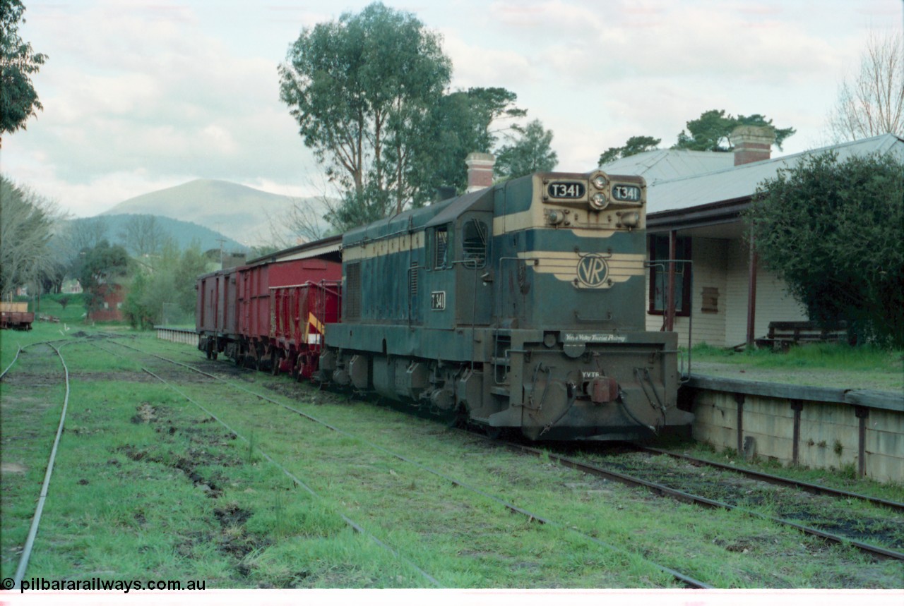 160-03
Healesville, station yard, building and platform, Yarra Valley Tourist Railway broad gauge loco Flat Top T class T 341 Clyde Engineering EMD model G8B serial 56-120 stand at the platform with a four wheel G type open waggon, a four wheel HD type van and a bogie ZLP type guards van.
Keywords: T-class;T341;Clyde-Engineering-Granville-NSW;EMD;G8B;56-120;