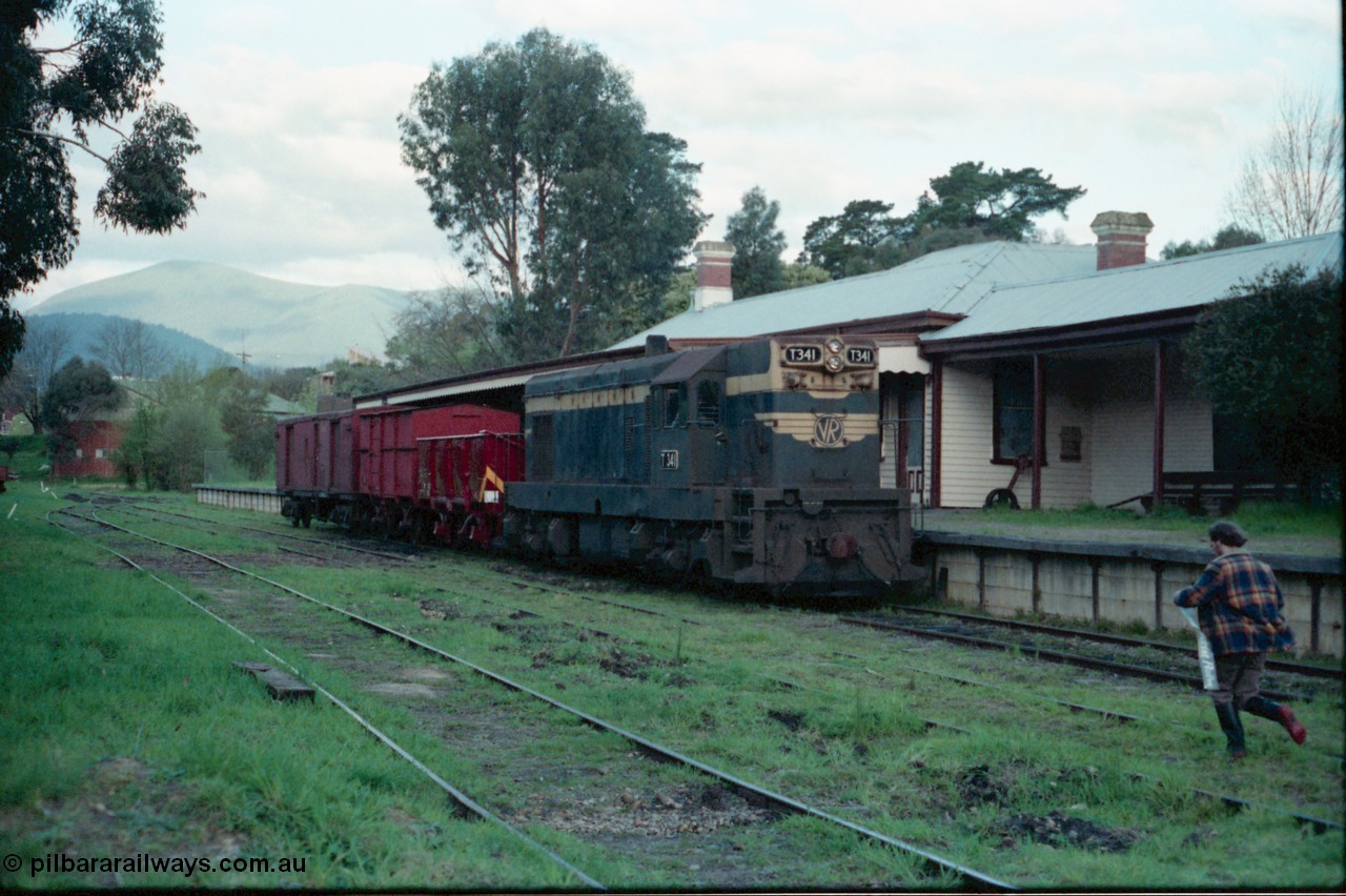 160-06
Healesville, station yard, building and platform, Yarra Valley Tourist Railway broad gauge loco Flat Top T class T 341 Clyde Engineering EMD model G8B serial 56-120 stand at the platform with a four wheel G type open waggon, a four wheel HD type van and a bogie ZLP type guards van.
Keywords: T-class;T341;Clyde-Engineering-Granville-NSW;EMD;G8B;56-120;