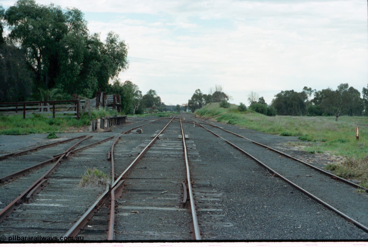 161-31
Tocumwal, broad gauge yard overview looking north from end of platform, Victorian Railways broad gauge cattle yards on the left, with the NSWGR standard gauge cattle yards in the background at left, the tracks in front of the camera are broad gauge, track behind yards is standard gauge, trans-shipping cranes in the distance, standard gauge yard in on the right in the grass.
