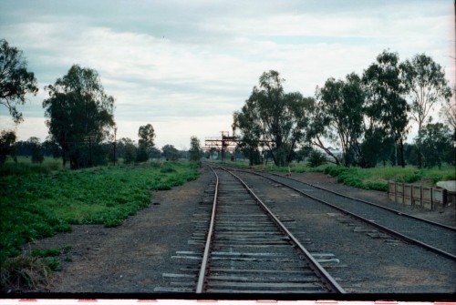 161-33
Tocumwal, yard view of broad gauge tracks running north, NSWGR standard gauge cattle yard track on the far right, trans-shipping cranes in the distance.
