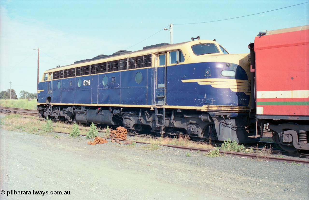 163-11
Seymour loco depot, V/Line broad gauge streamline double ended Bulldog otherwise known as the B class B 75 Clyde Engineering EMD model ML2 serial ML2-16 still in close to original Victorian Railways blue and yellow.
Keywords: B-class;B75;Clyde-Engineering-Granville-NSW;EMD;ML2;ML2-16;bulldog;