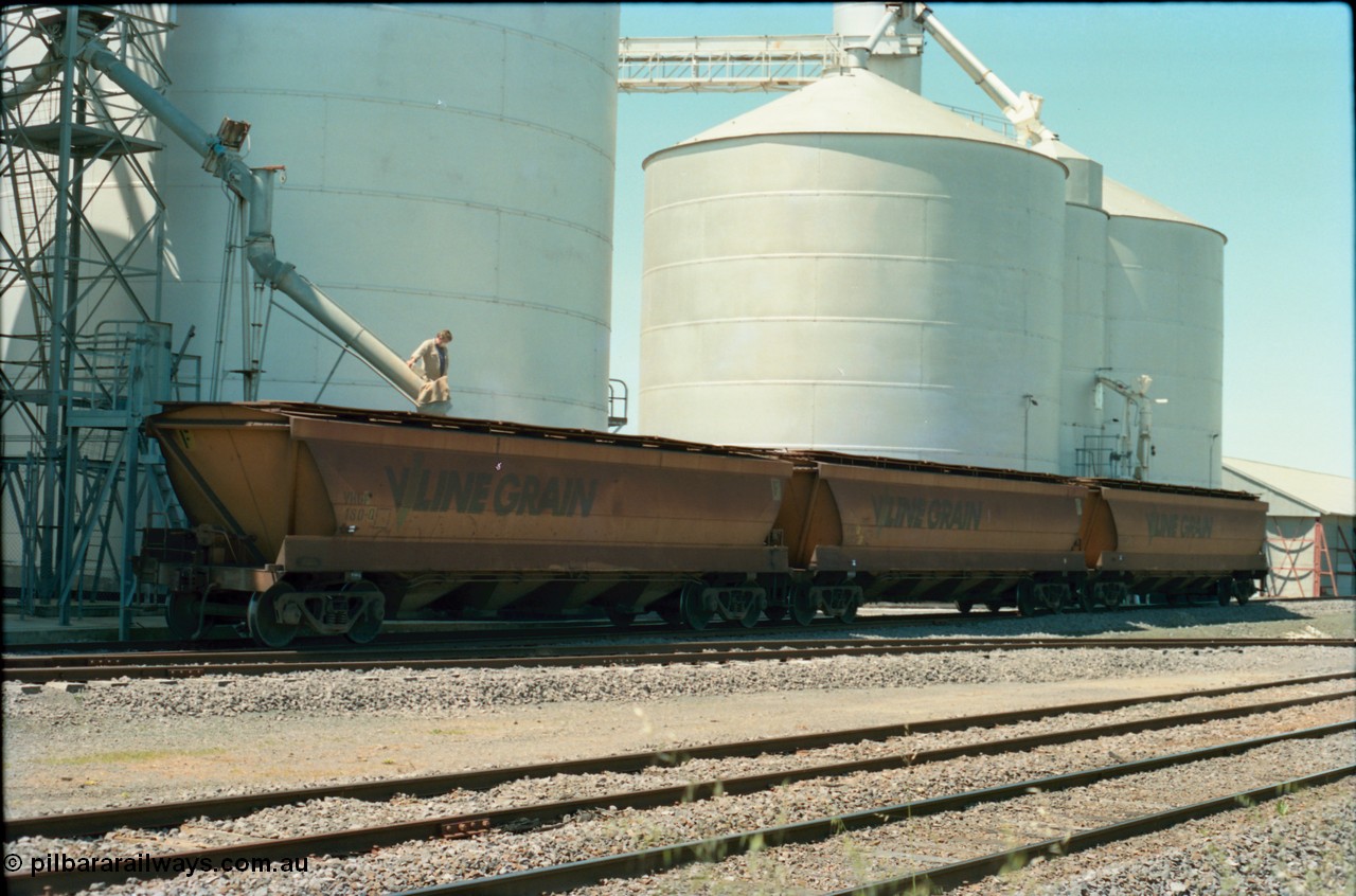 164-19
Murchison East, V/Line Grain VHGF type bogie grain waggon VHGF 180, built as a GJX type by Steelweld Victoria in July 1969 is being loaded, coupled to two other VHGF waggons, from the Ascom silo complex, worker on top of waggon operating loading spout, Murphy silo complex and super phosphate shed on the right
Keywords: VHGF-type;VHGF180;Steelweld-Vic;GJX-type;