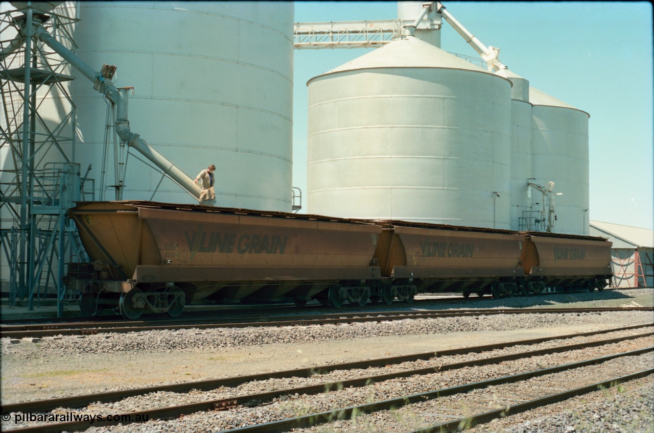 164-20
Murchison East, V/Line Grain VHGF type bogie grain waggon VHGF 180, built as a GJX type by Steelweld Victoria in July 1969 is being loaded, coupled to two other VHGF waggons, from the Ascom silo complex, worker on top of waggon operating loading spout, Murphy silo complex and super phosphate shed on the right.
Keywords: VHGF-type;VHGF180;Steelweld-Vic;GJX-type;