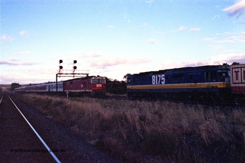 167-09
Wallan Loop, north end, standard gauge NSWSRA 81 class sisters cross each other, 8174 Clyde Engineering EMD model JT26C-2SS serial 85-1093 in candy livery leads the south bound Inter-Capital Daylight, while 8175 Clyde Engineering EMD model JT26C-2SS serial 85-1094 in new Freight Rail 'Stealth' livery sits on the loop with a north bound goods.
Keywords: 81-class;8175;Clyde-Engineering-Kelso-NSW;EMD;JT26C-2SS;85-1094;8174;85-1093;