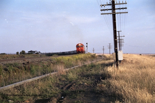 168-03
Bank Box Loop, down V/Line broad gauge goods train to Adelaide behind G class G 540 Clyde Engineering EMD model JT26C-2SS serial 89-1273 and Australian National 700 class 704 AE Goodwin ALCo model DL500G serial G6059-2 round the curve past the down home searchlight signal post.
Keywords: G-class;G540;Clyde-Engineering-Somerton-Victoria;EMD;JT26C-2SS;89-1273;