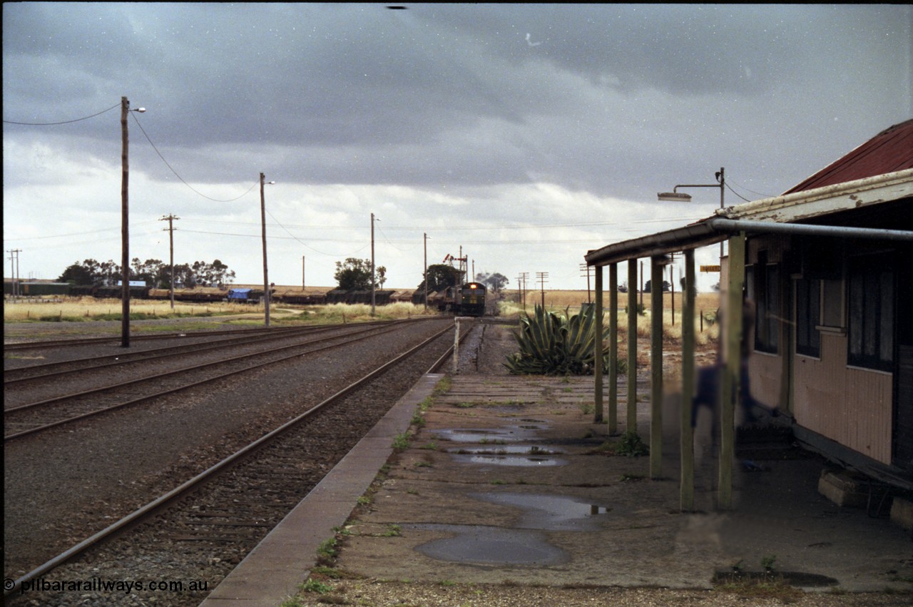 178-12
Maroona, station yard overview looking towards Portland from the platform as V/Line's down Adelaide goods train 9169 swings off the Cressy line behind with the quad combo of a pair of Australian National BL class locomotives BL 27 Clyde Engineering EMD model JT26C-2SS serial 83-1011 and class leader BL 26 'Bob Hawke' serial 83-1010 and V/Line S class S 313 'Alfred Deakin' Clyde Engineering EMD model A7 serial 61-230 and X class X 53 Clyde Engineering EMD model G26C serial 75-800.
