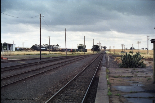 178-11
Maroona, station yard overview looking towards Portland from the platform as V/Line's down Adelaide goods train 9169 swings off the Cressy line behind with the quad combo of a pair of Australian National BL class locomotives BL 27 Clyde Engineering EMD model JT26C-2SS serial 83-1011 and class leader BL 26 'Bob Hawke' serial 83-1010 and V/Line S class S 313 'Alfred Deakin' Clyde Engineering EMD model A7 serial 61-230 and X class X 53 Clyde Engineering EMD model G26C serial 75-800.
