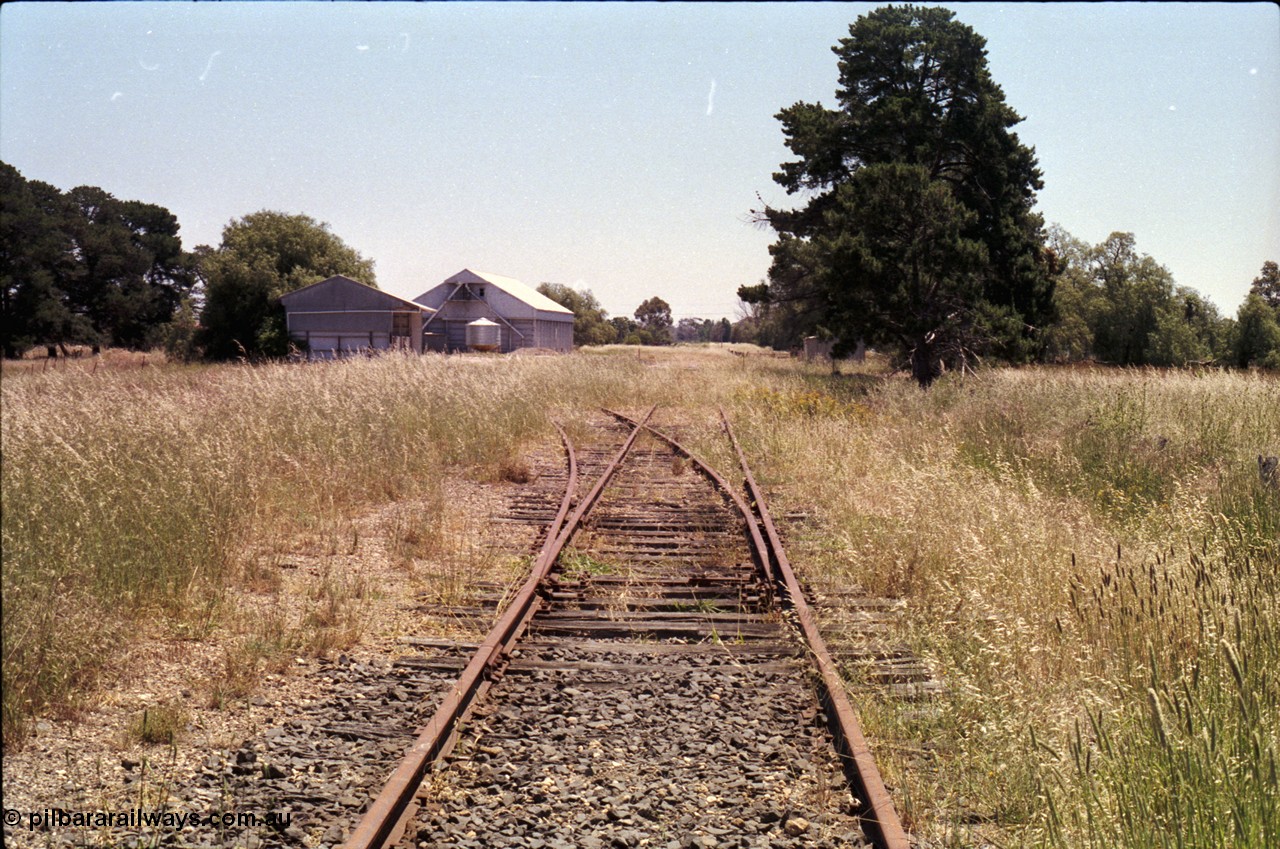 182-16
Murchison, derelict station site looking along mainline with super phosphate shed and horizontal GEB H style grain bunker on the left, gangers shed visible behind tree on the right.
