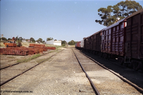 182-03
Wahgunyah, yard view with stockpiles of new red gum sleepers at left, an empty rake of bogie louvre vans and container waggons sits in the yard for Uncle Tobys, looking towards the terminus.

