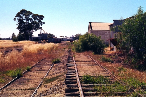 182-12
Wahgunyah, yard view looking towards Rutherglen from the goods sidings, No.2 Road visible on the left and No.4 Road in the middle, elevated siding with eroded track, shed on the right.
