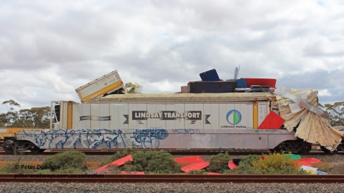 P3 260901 7689
RRRY 7005 platform #3 with damaged top box. Was part of train 1MP5 which was backed up the Esperance line and struck Lefroy Bridge, August 31, 2026.
P3T LTCD 462128	RFRG Lindsay Transport reefer
P3B LTCD 461804 RFRG Lindsay Transport reefer
Keywords: Peter-D-Image;RRRY-type;RRRY7003;1PM5