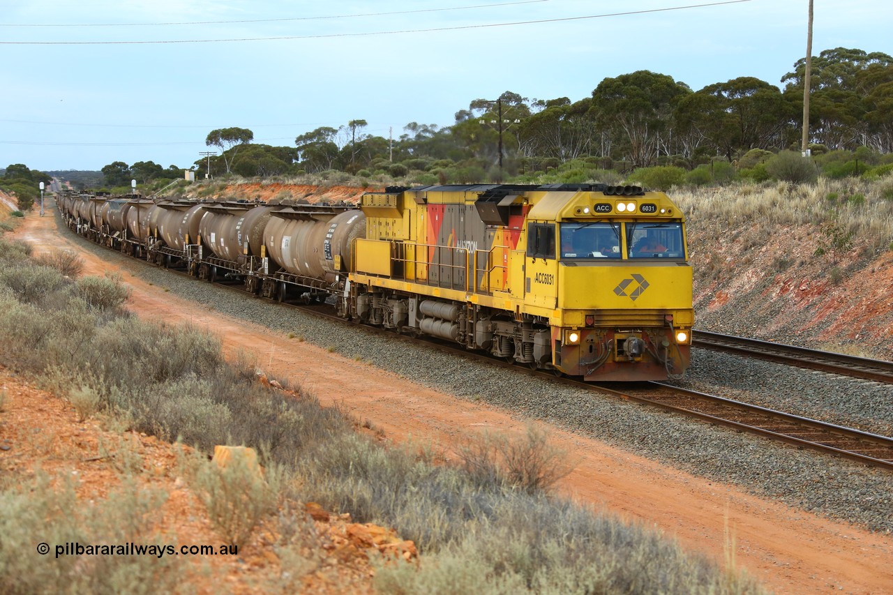 161116 5097
West Kalgoorlie, loaded Shell fuel train 3442 arrives behind UGL Rail built GE model C44ACi unit ACC 6031 serial R-0093-01/13-485 following its overnight run from Esperance with 26 waggons for 505 metres and 2165 tonnes.
Keywords: ACC-class;ACC6031;UGL-Rail;GE;C44aci;R-0093-01/13-485;