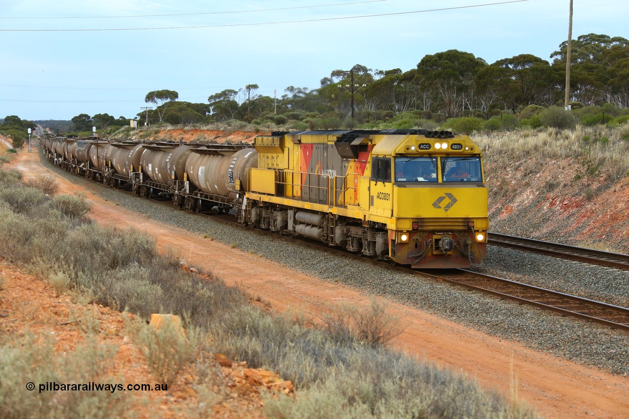 161116 5097
West Kalgoorlie, loaded Shell fuel train 3442 arrives behind UGL Rail built GE model C44ACi unit ACC 6031 serial R-0093-01 / 13-485 following its overnight run from Esperance with 26 waggons for 505 metres and 2165 tonnes.
Keywords: ACC-class;ACC6031;UGL-Rail-NSW;GE;C44ACi;R-0093-01/13-485;