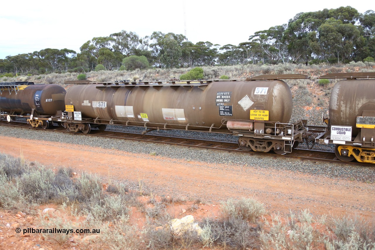 161116 5116
West Kalgoorlie, Shell fuel train 3442, ATPF 571 fuel tank waggon is the type leader built by WAGR Midland Workshops in 1974 for Shell as WJP type 80.66 kL one compartment one dome, capacity of 80500 litres, fitted with type F InterLock couplers.
Keywords: ATPF-type;ATPF571;WAGR-Midland-WS;WJP-type;