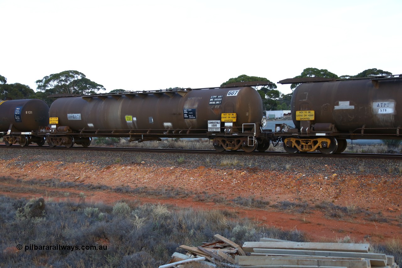 161116 5557
Binduli, empty Shell fuel train 4443, tank waggon ATPF 607, built by Westrail Midland Workshops 1982 for Shell as WJP type, 80.66 kL one compartment one dome, fitted with type F InterLock couplers.
Keywords: ATPF-type;ATPF607;Westrail-Midland-WS;WJP-type;