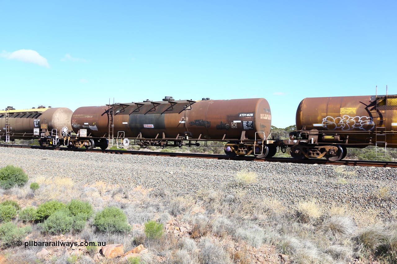 161111 2472
Binduli, Kalgoorlie Freighter train 5025, ATDY 4620 fuel tank waggon, originally an NTAF type tanker, coded WTDY when arrived in WA, in BP service.
Keywords: ATDY-type;ATDY4620;NTAF-type;WTDY-type;