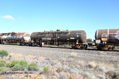 161111 2469
Binduli, Kalgoorlie Freighter train 5025, ATEY 7317 diesel fuel tank waggon in service for BP Oil, former NSW AMPOL NTAF tank, coded WTEY when arrived in WA.
Keywords: ATEY-type;ATEY7317;NTAF-type;WTEY-type;