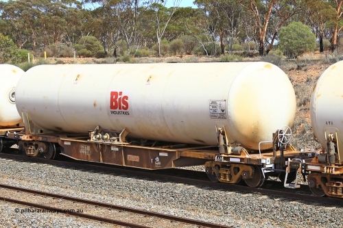 231020 8264
Binduli, 5029 Malcolm Freighter, AZKY type anhydrous ammonia tank waggon AZKY 32231, type leader of twelve units built by Goninan WA in 1998 as type WQK for Murrin Murrin traffic fitted with Bis INDUSTRIES anhydrous ammonia tank A1K.
Keywords: AZKY-type;AZKY32231;Goninan-WA;WQK-type;