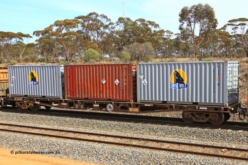 231020 8296
Binduli, 5029 Malcolm Freighter, AQWY type container waggon AQWY 30222, originally built by WAGR Midland Workshops as a WFX type in batch of forty five in 1973-74, recoded to WQCX in 1980, then to WQC for a couple of years 1980-82. Loaded with three 20' 22G1 type containers, Royal Wolf RWLU 836206, a Cronus CRXU 183018 and Royal Wolf RWLU 838464, all with placards for 3077 / 9 dangerous goods.
Keywords: AQWY-type;AQWY30222;WAGR-Midland-WS;WFX-type;WQCX-type;WQC-type;