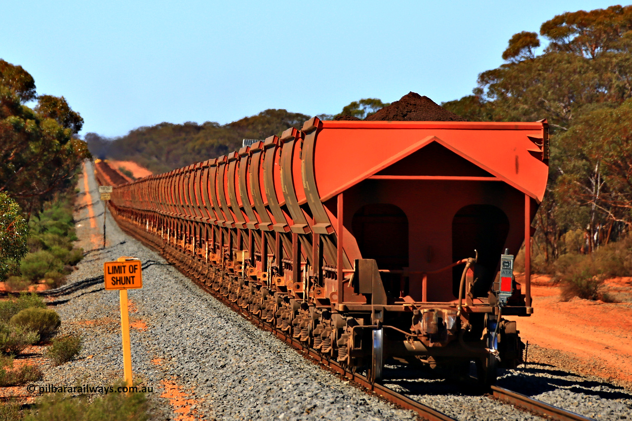 240328 3035
Hampton and Aurizon loaded iron ore train 5041 with a rake of MHLY and MHPY waggons runs south towards Esperance from Koolyanoobing through the dip at the 19 km on the Esperance line. 28th of March 2024.
