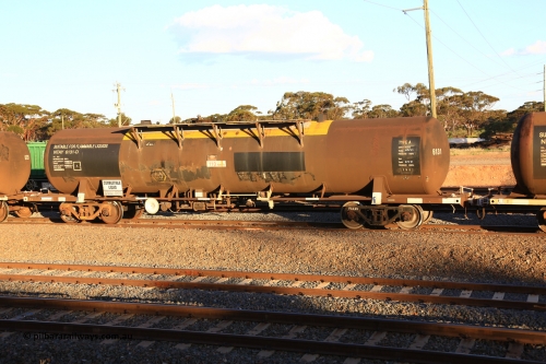 240328 3172
West Kalgoorlie, Viva Energy's NTAY 6131 fuel tank waggon, built by Indeng Qld in 1979 for Shell as SCA 282, fitted with conventional couplers, on Pacific National's train 5445 empty fuel to Esperance. March 28, 2024.
Keywords: NTAY-type;NTAY6131;Indeng-Qld;SCA-type;SCA282;NTAF-type;