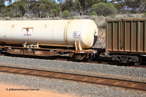 161112 2984
West Kalgoorlie, loaded Malcolm sulphur train 6029, non-handbrake end of AZKY type anhydrous ammonia tank waggon AZKY 32241, one of twelve waggons built by Goninan WA in 1998 as type WQK for Murrin Murrin traffic fitted with Bis INDUSTRIES anhydrous ammonia tank A3F.
Keywords: AZKY-type;AZKY32241;Goninan-WA;WQK-type;